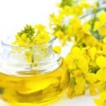 CANOLA OIL
