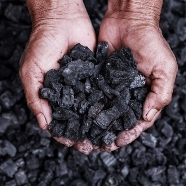Charcoal Activated Farmer (100gm) - Image 2