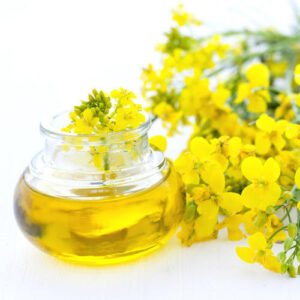 CANOLA OIL